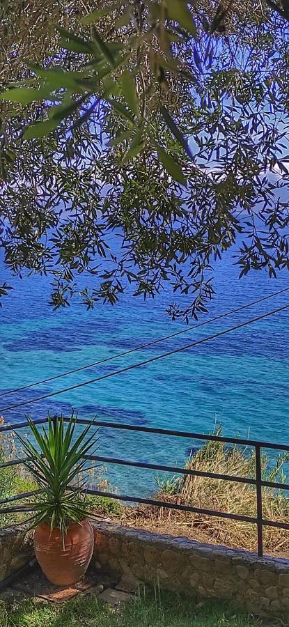 Villa Fourtuna Apartment Agios Ioannis Peristerion Exteriör bild