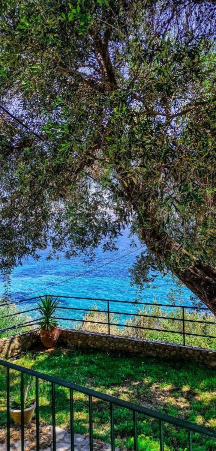 Villa Fourtuna Apartment Agios Ioannis Peristerion Exteriör bild