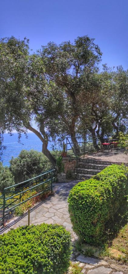 Villa Fourtuna Apartment Agios Ioannis Peristerion Exteriör bild