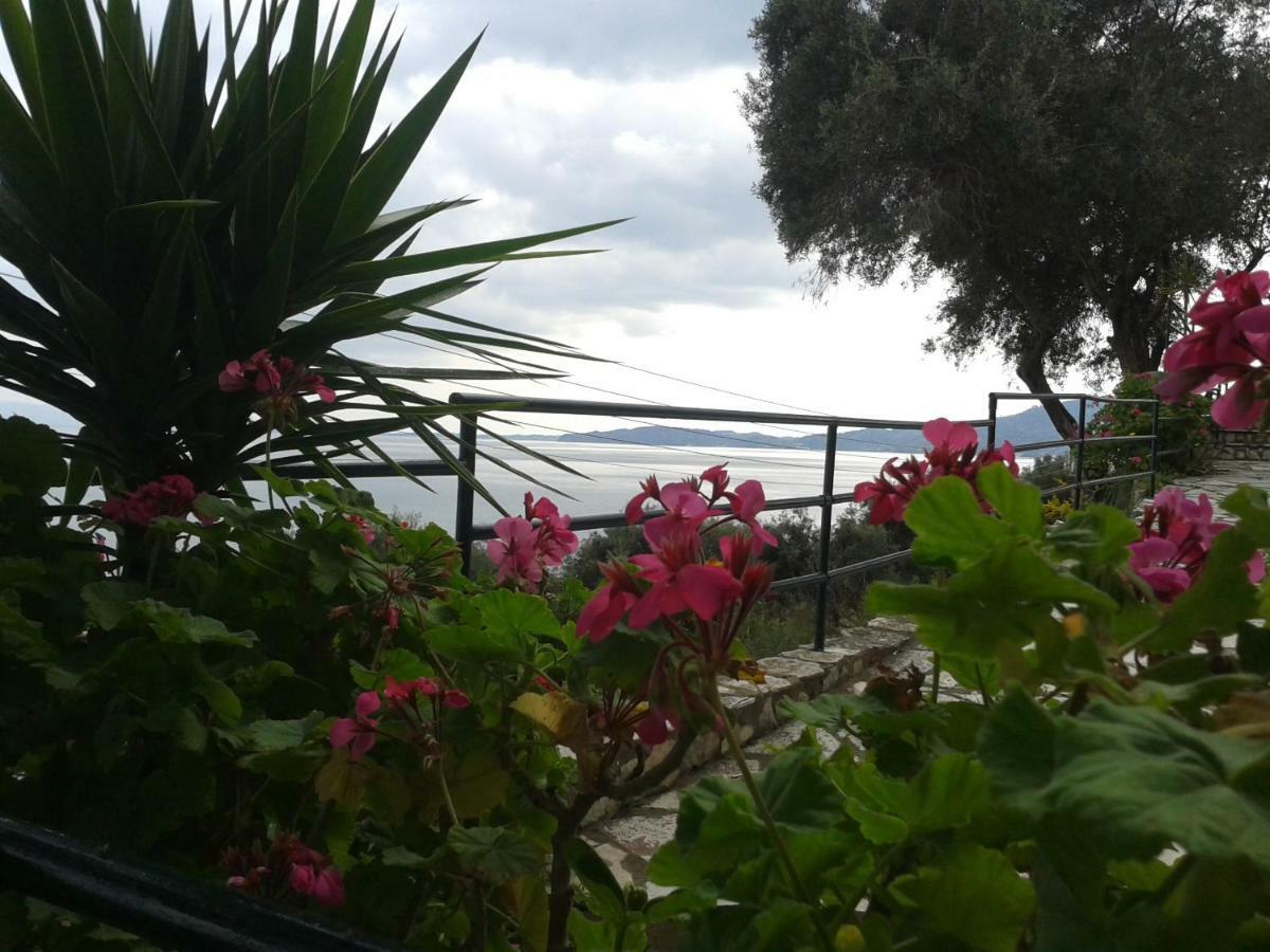 Villa Fourtuna Apartment Agios Ioannis Peristerion Exteriör bild