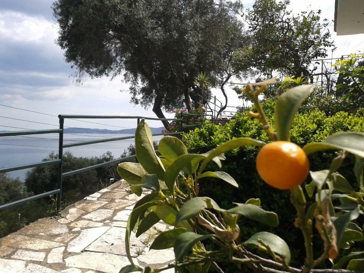Villa Fourtuna Apartment Agios Ioannis Peristerion Exteriör bild